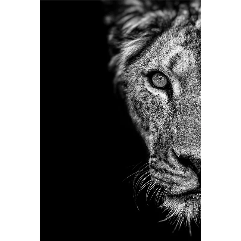 Canvas Paintings On The Wall Art Modern Male lion and lioness Decorative Posters And Prints Canvas Art Animal Pictures for Room - Image 10